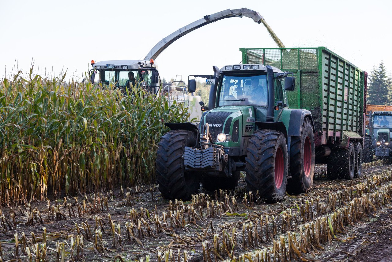 Bild 46 - Maisernte am 11.10.12